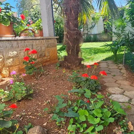 Appartamento Jasminka